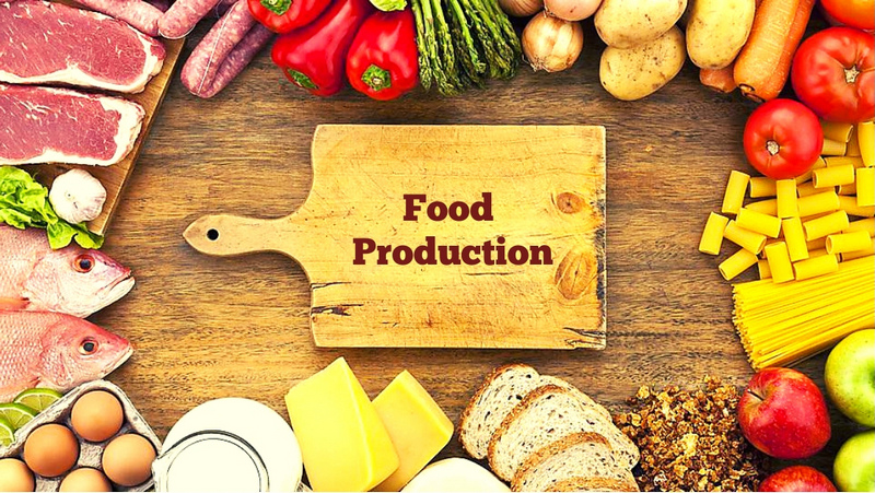 diploma-in-food-production-principles-cookery-at-best-price-in