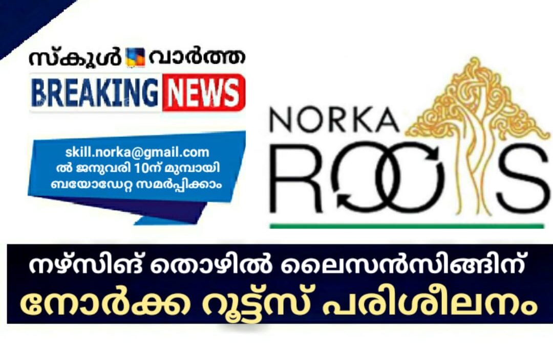 നഴ്‌സിങ്: തൊഴിൽ ലൈസൻസിങ്ങിന് നോർക്ക റൂട്ട്സ് പരിശീലനം