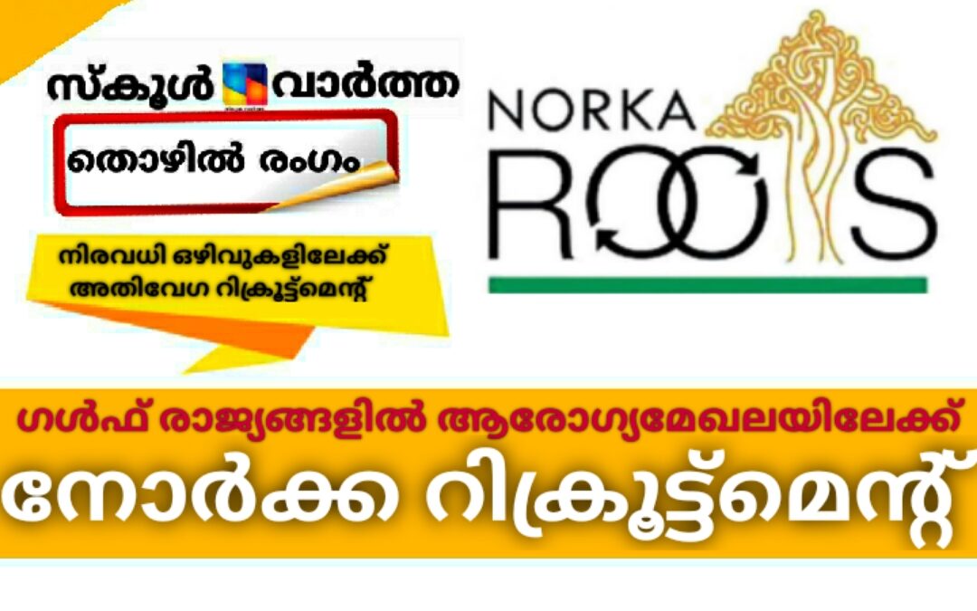 ആരോഗ്യമേഖലയില്‍ വിദേശത്ത് നിരവധി ഒഴിവുകൾ: അതിവേഗ റിക്രൂട്ട്മെന്റുമായി നോര്‍ക്ക