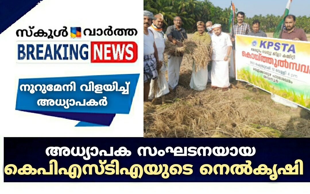 തവനൂർ പാടത്ത് നൂറുമേനി വിളയിച്ച് അധ്യാപകർ