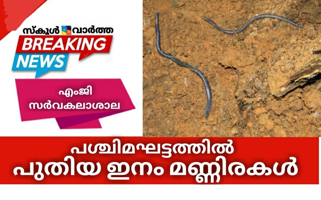 പശ്ചിമഘട്ടത്തിൽ  പുതിയ ഇനം മണ്ണിരകൾ: കണ്ടെത്തലുമായി മഹാത്മാഗാന്ധി സർവകലാശാല