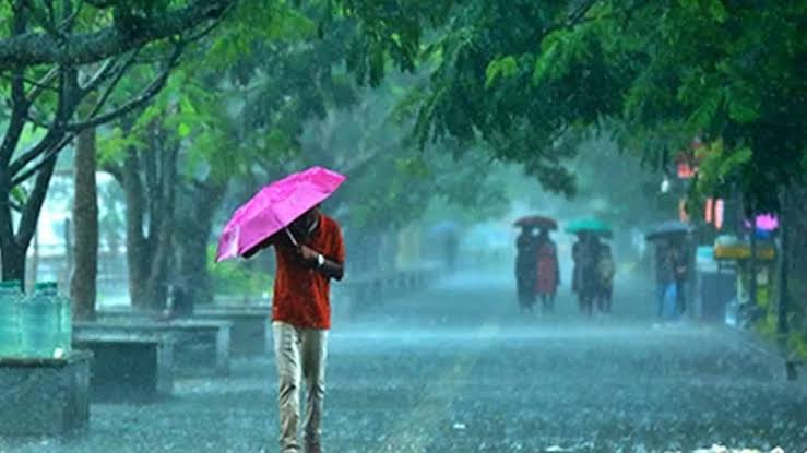 മഴ ശക്തമാകുന്നു: ജൂൺ 27ന് 8 ജില്ലകളിൽ അവധി