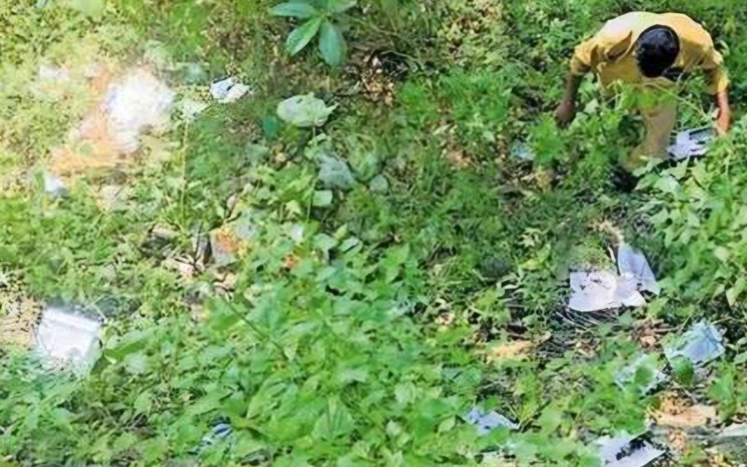 ധനസഹായത്തിനായി വിദ്യാർത്ഥികൾ നൽകിയ അപേക്ഷകൾ പുഴയരികിലെ കുറ്റിക്കാട്ടിൽ തള്ളി